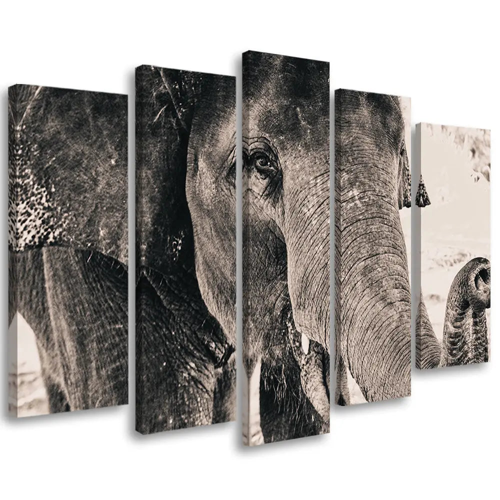 Tableau éléphant noir et blanc Love-Gallery